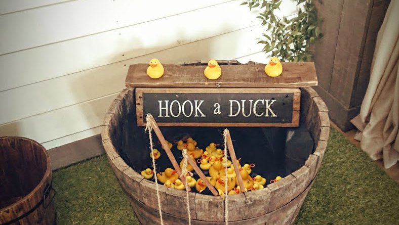 Hook a Duck Header Image